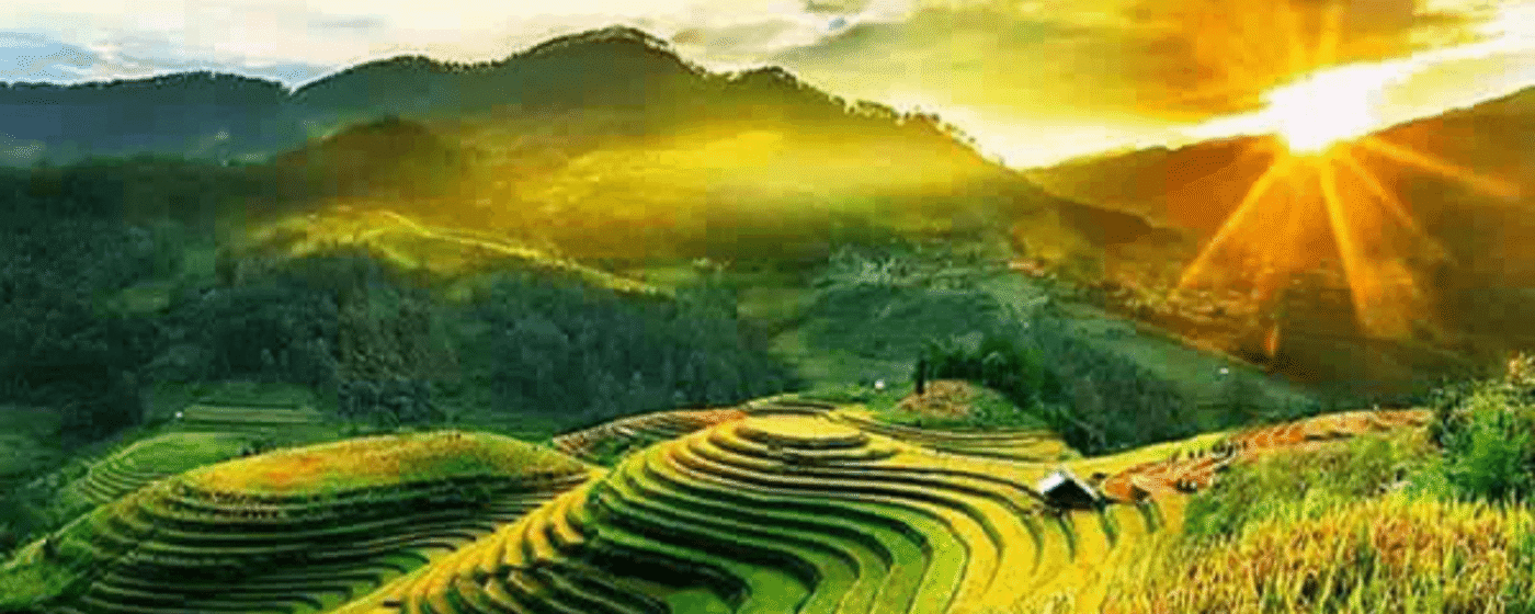 lua-vang-chau-a